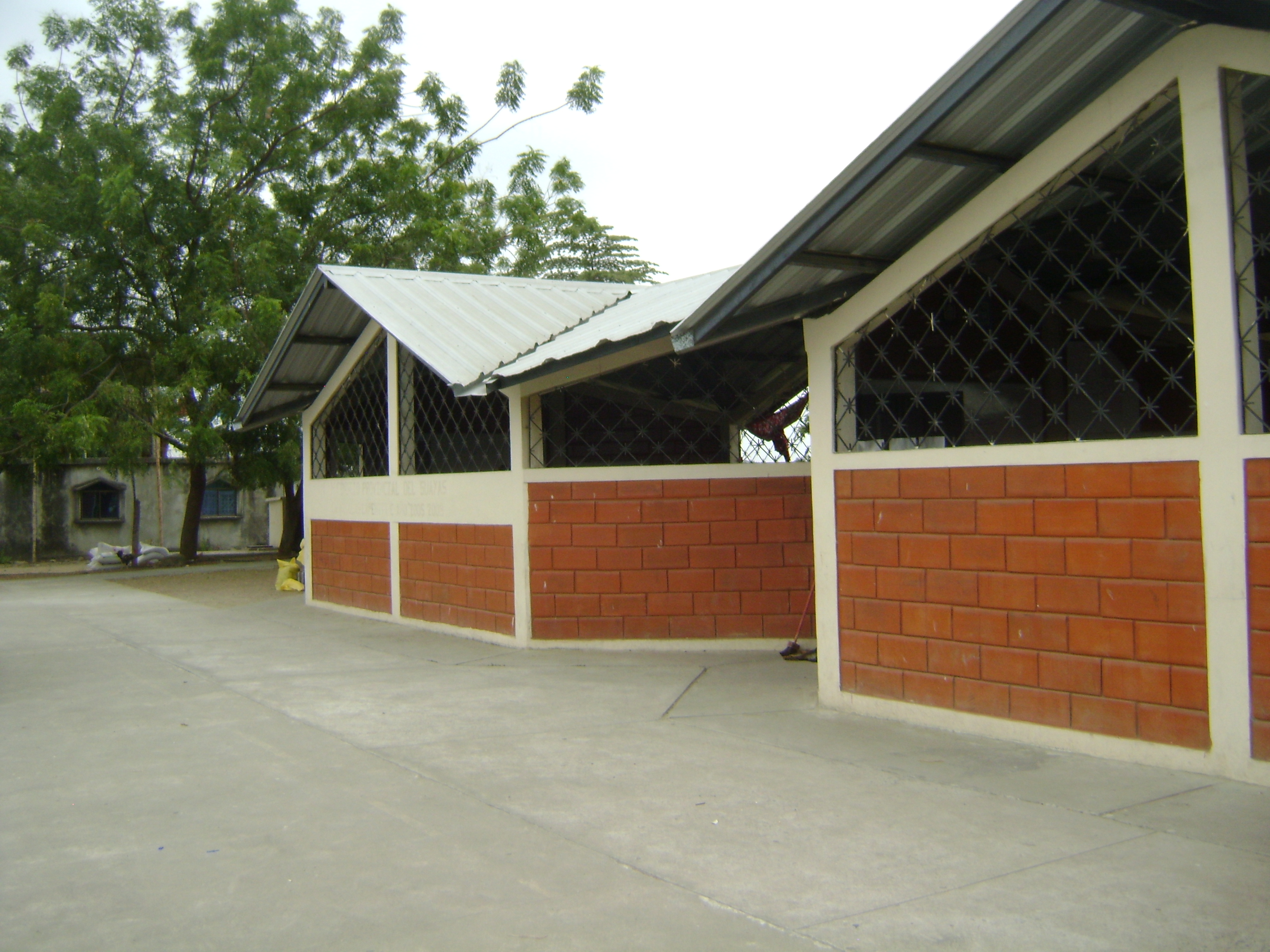 DSC00429